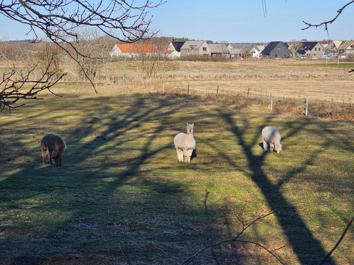 Attefallshus Naera Havet Norranaes Varberg Esterno foto